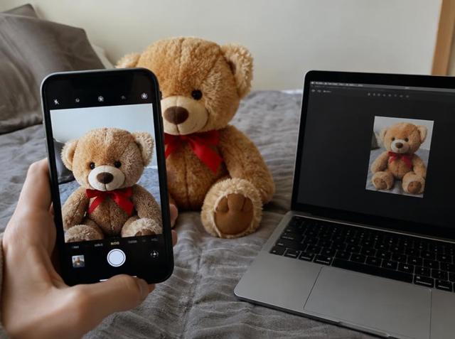 Photo Shrinking System — photo