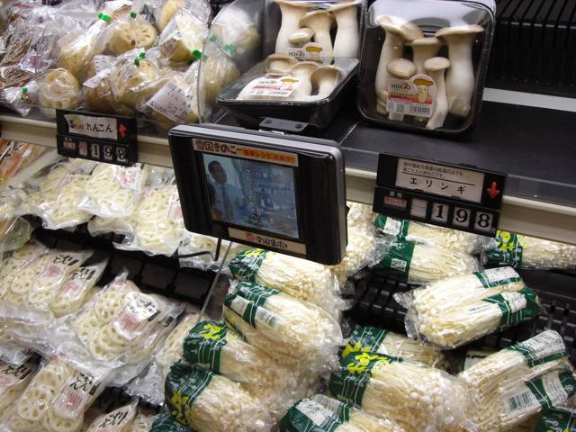 Purchase Reorder Suggestions — photo